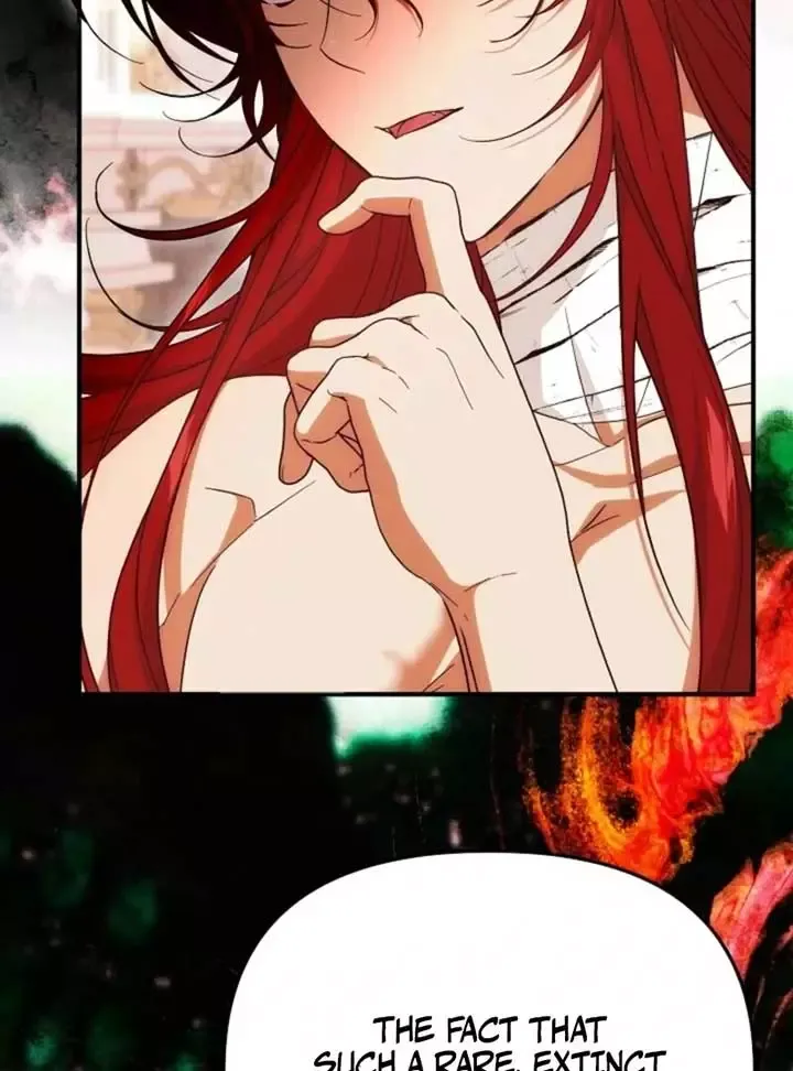 I Don