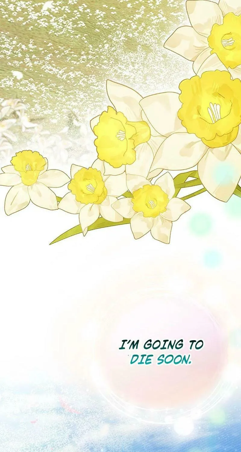 I Don