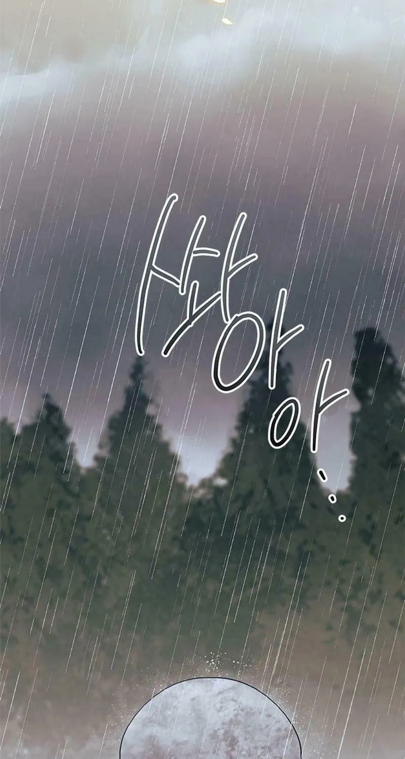 I Don