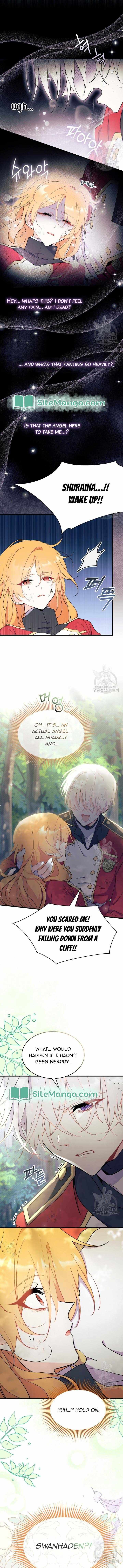 I Don