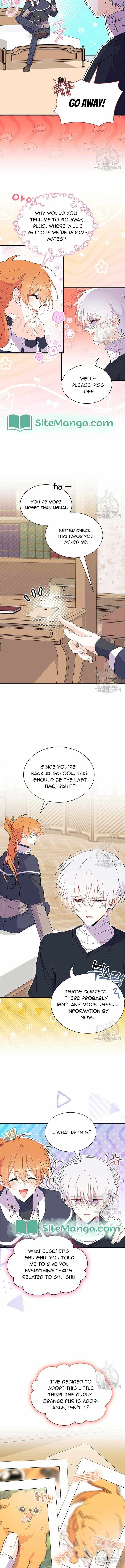 I Don