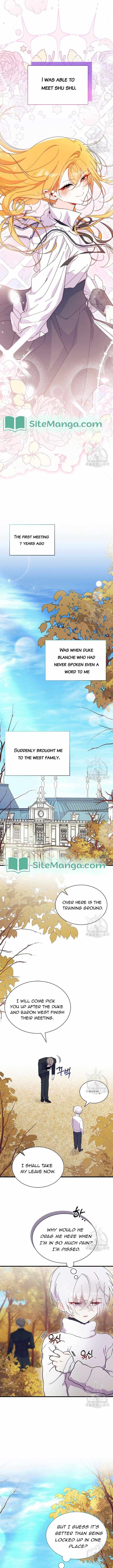 I Don