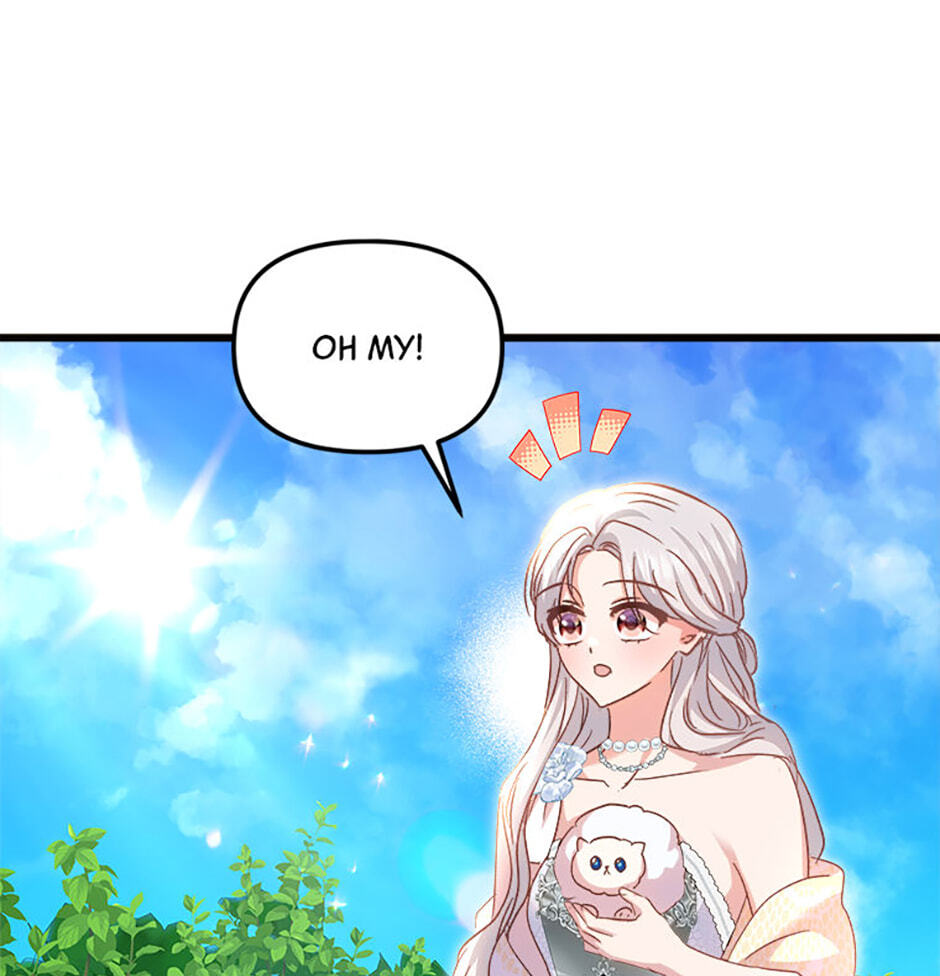 I Don