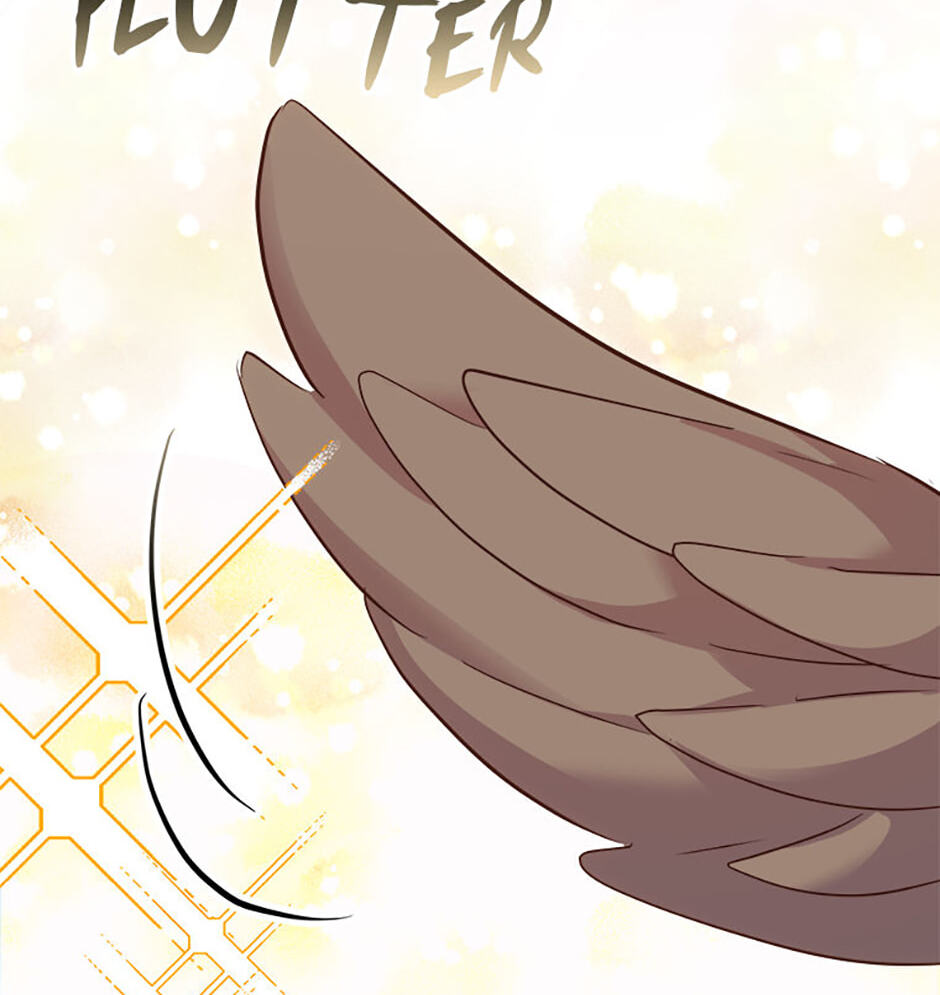 I Don