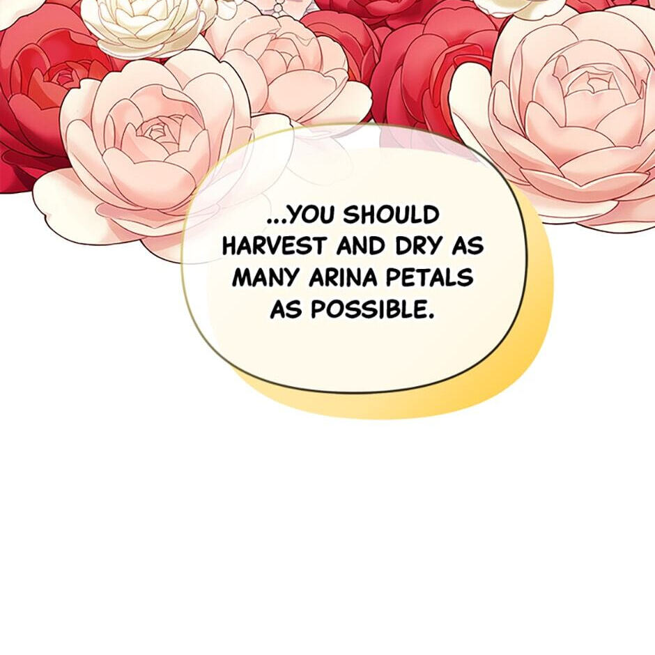 I Don