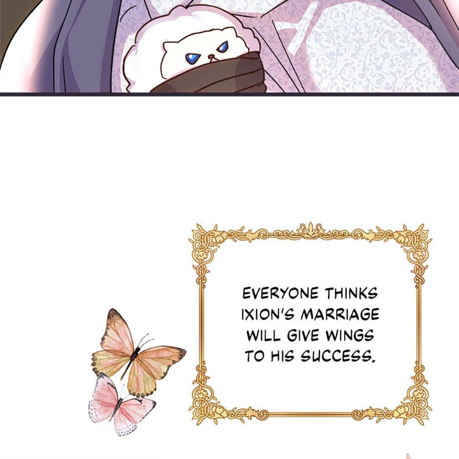 I Don