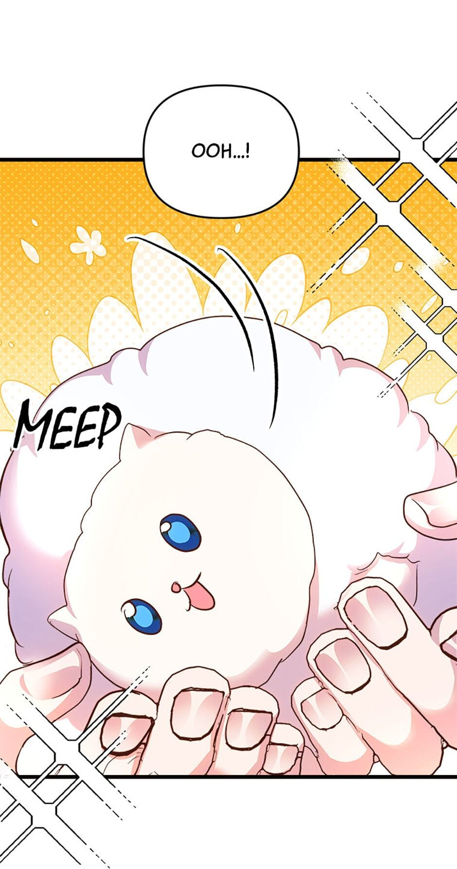 I Don