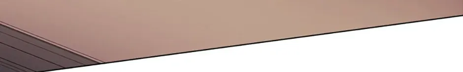 I Don’t Trust My Twin Sister Chapter 67 page 71 - 