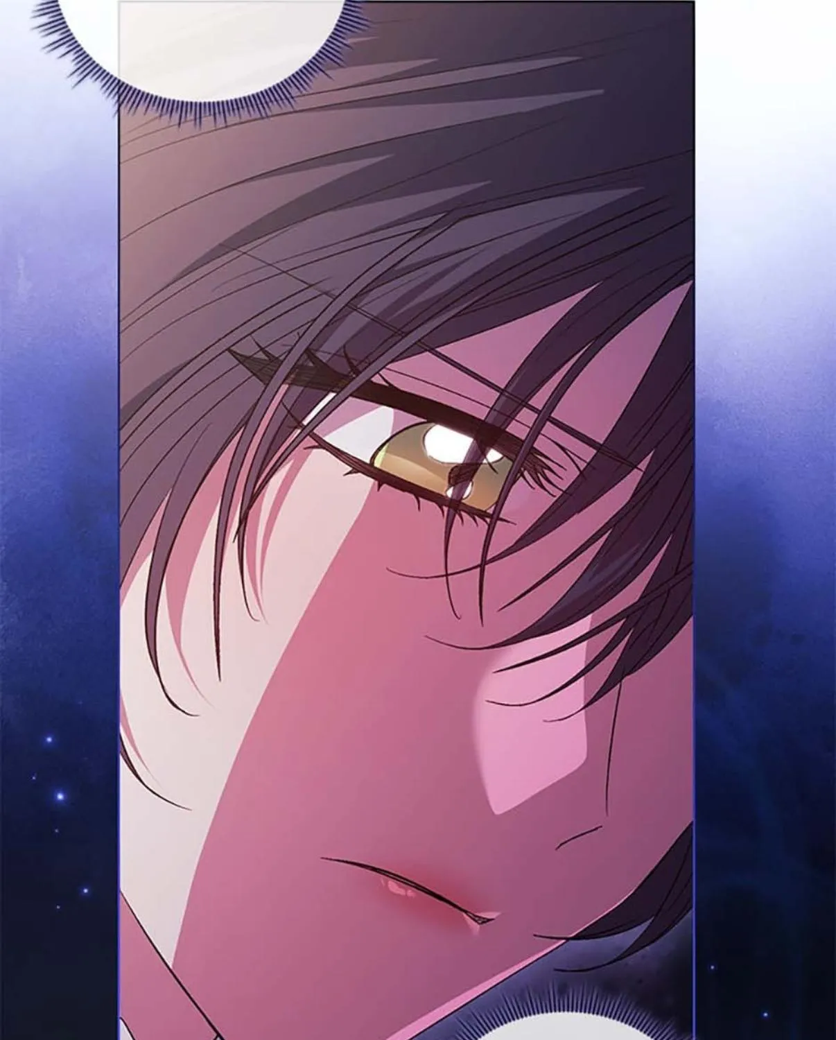 I Don’t Trust My Twin Sister Chapter 77 page 12 - 