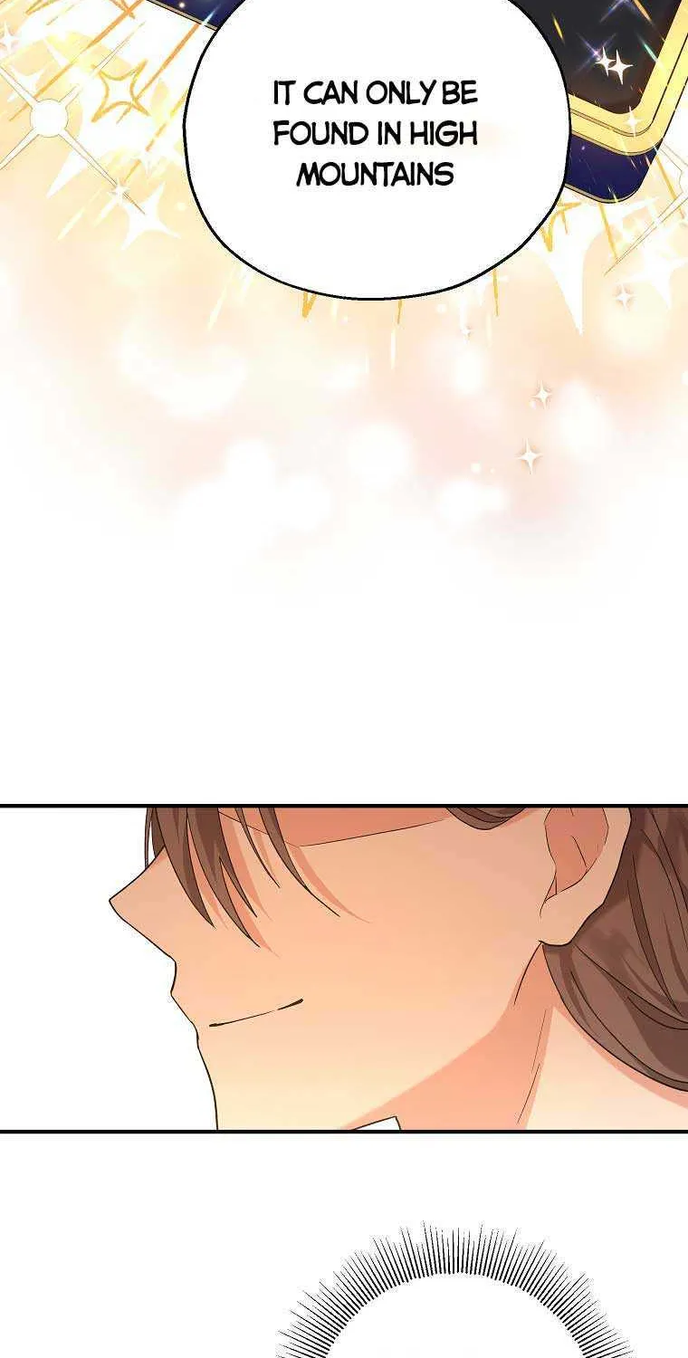 I Don’t Want To Be Duke’s Adopted Daughter-in-law Chapter 18 page 75 - 