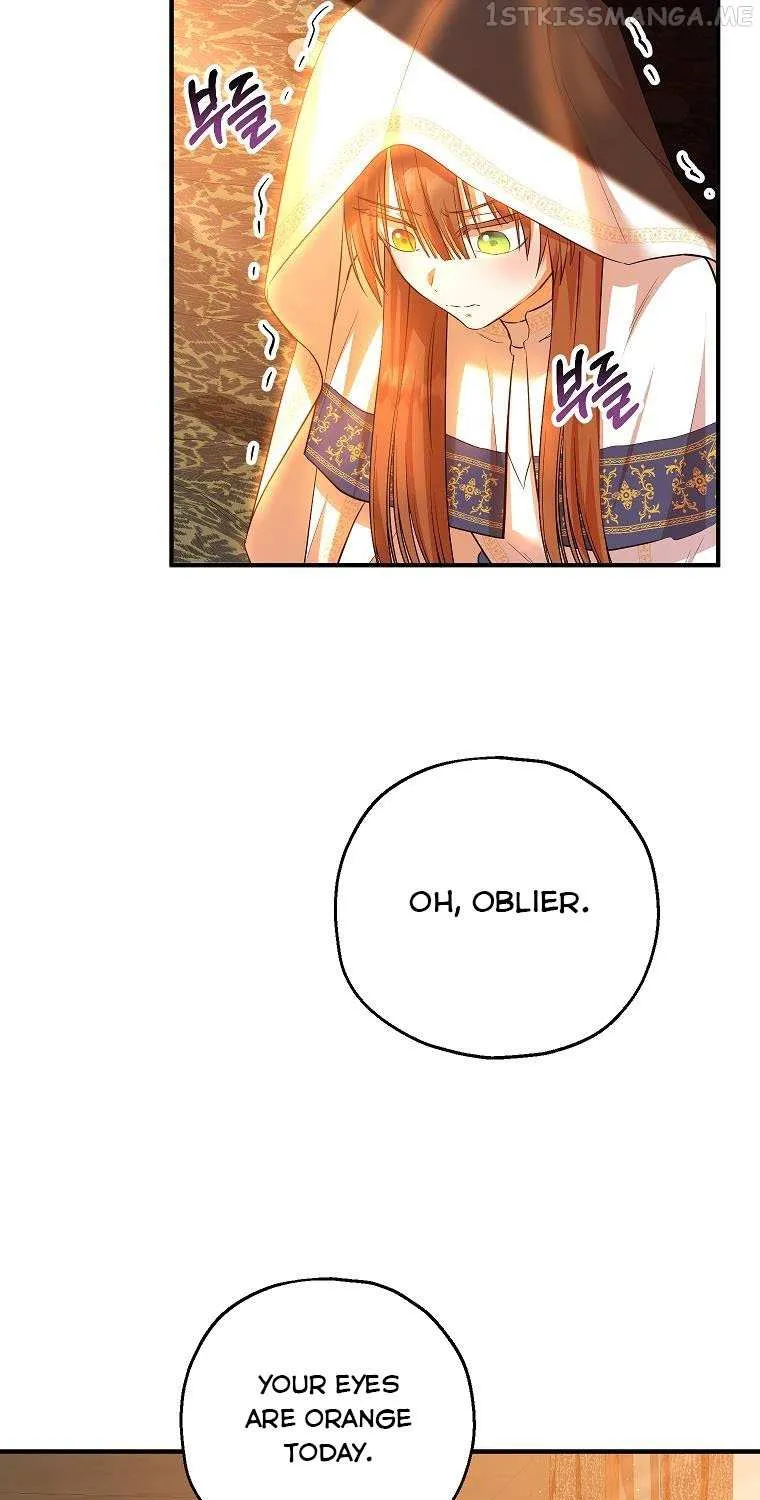 I Don’t Want To Be Duke’s Adopted Daughter-in-law Chapter 40.5 page 15 - 