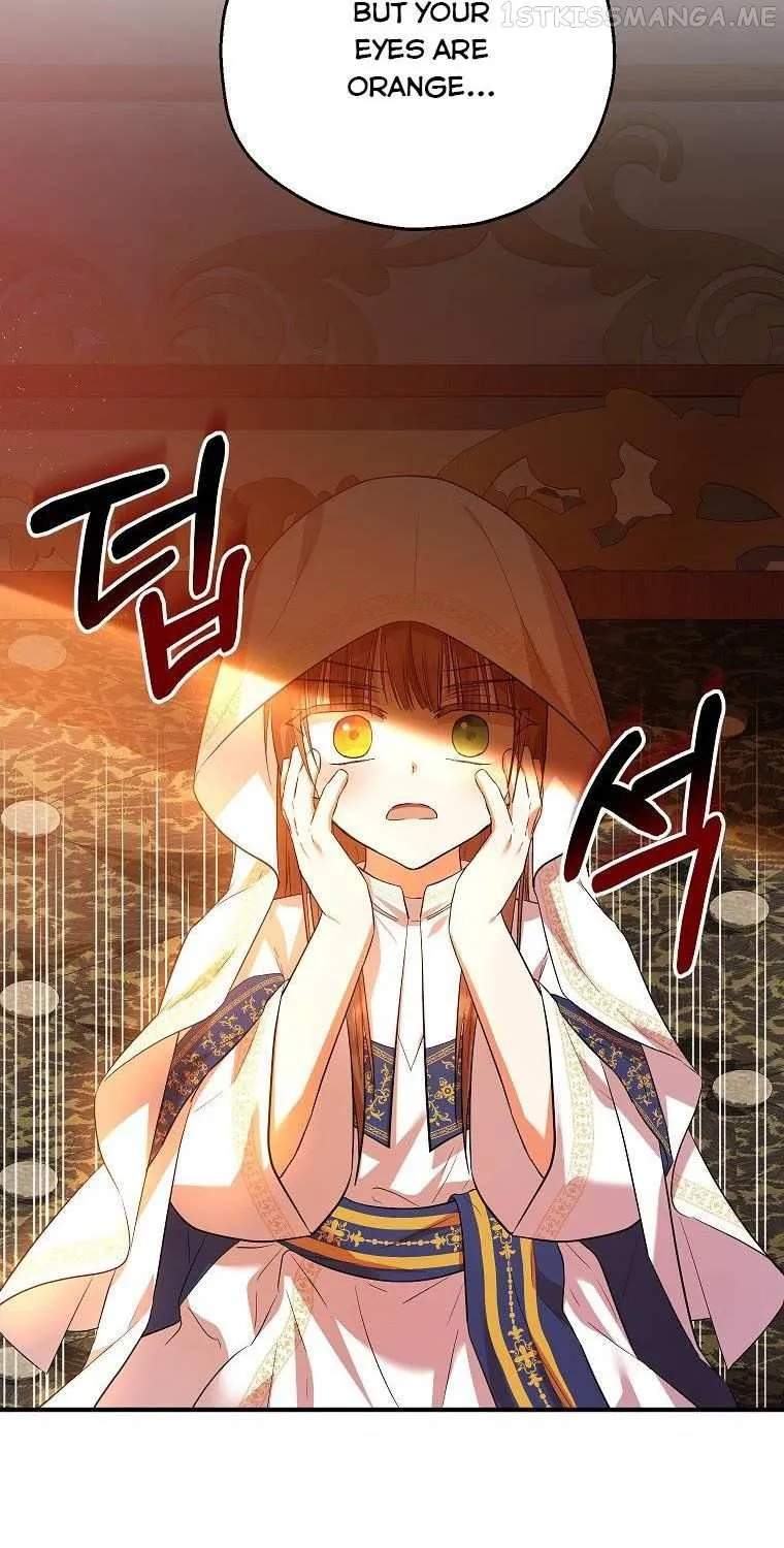 I Don’t Want To Be Duke’s Adopted Daughter-in-law Chapter 40.5 page 17 - 