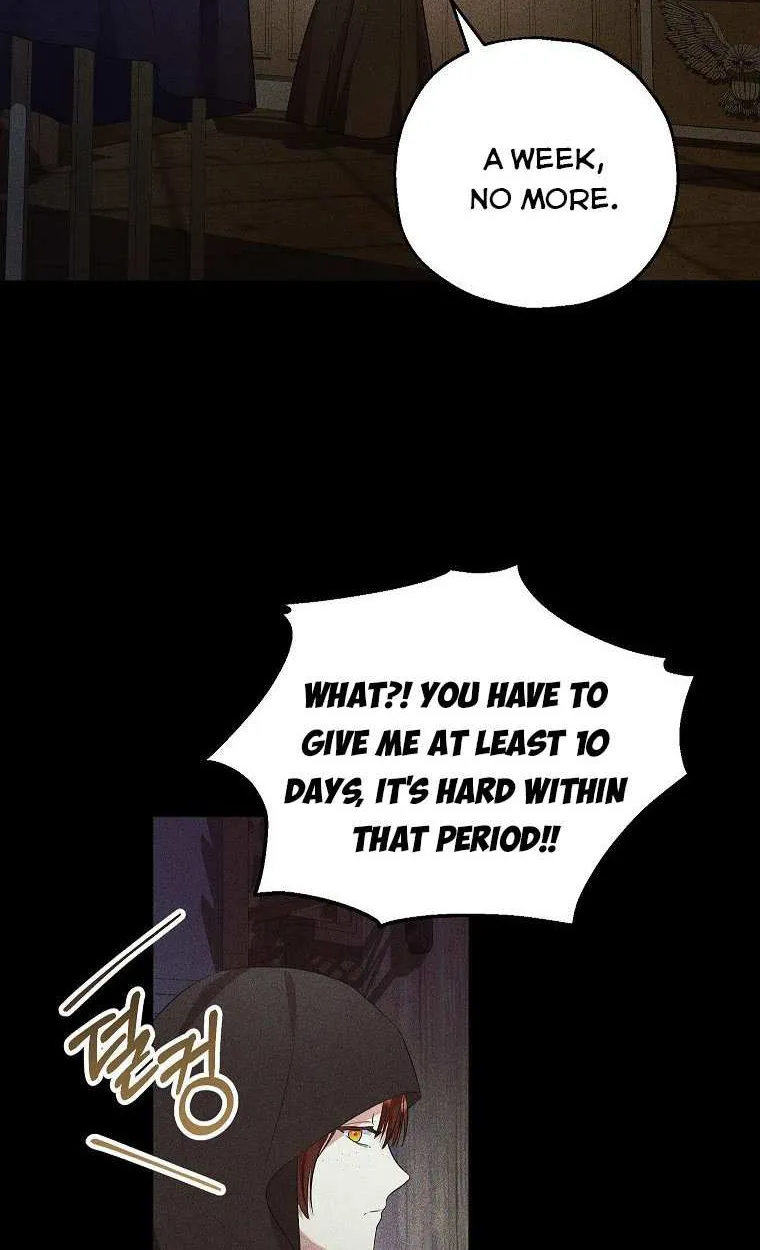 I Don’t Want To Be Duke’s Adopted Daughter-in-law Chapter 44 page 8 - 