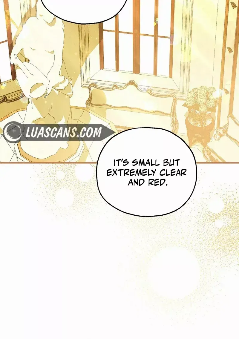 I Don’t Want To Be Duke’s Adopted Daughter-in-law Chapter 73 page 19 - 
