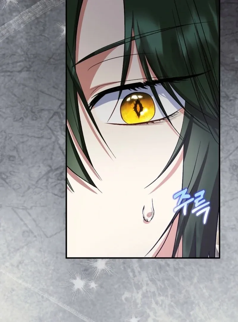 I Don’t Want To Be Duke’s Adopted Daughter-in-law Chapter 96 page 106 - 