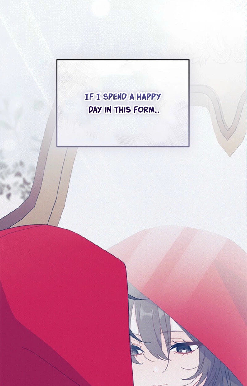 I Don