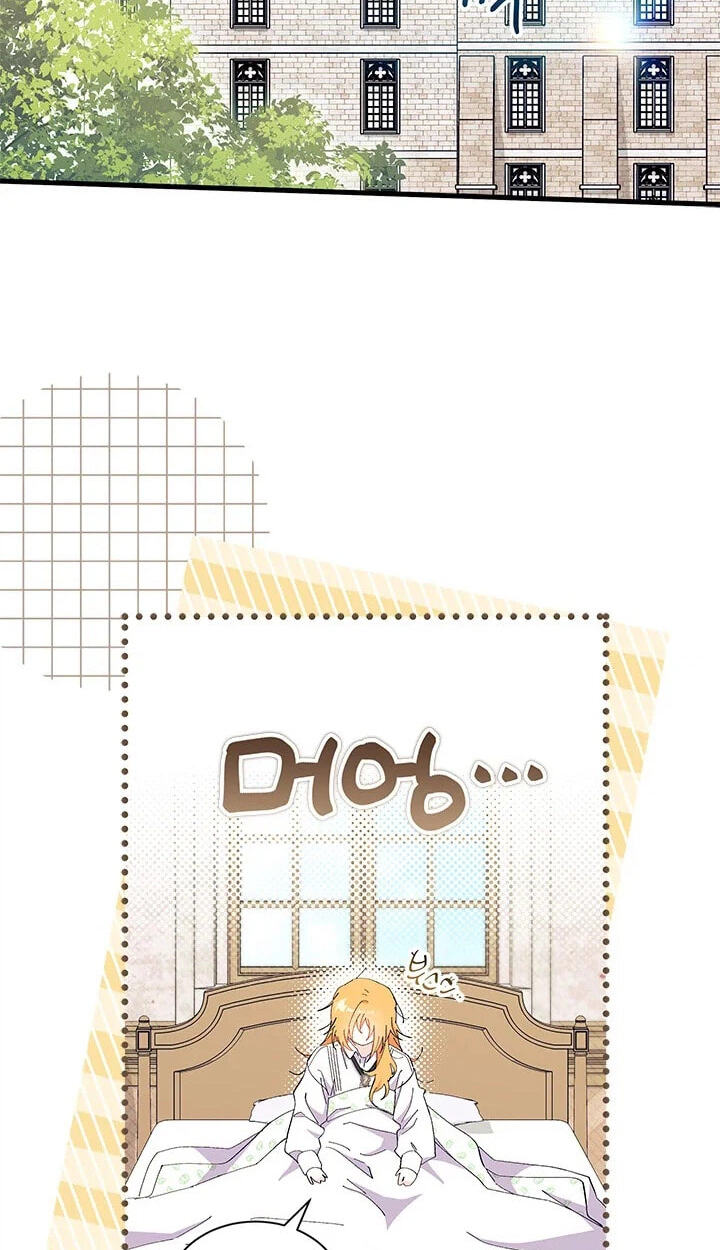 I Don