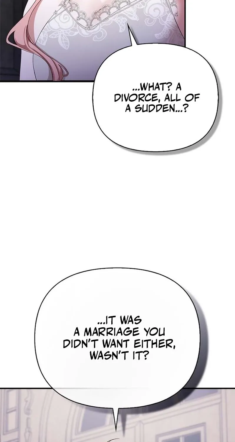 I Drank It Instead of My Husband Chapter 2 page 13 - 
