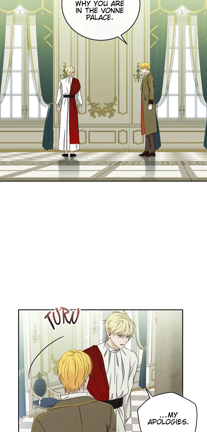 I Fell into a Reverse Harem Game! Chapter 14 page 42 - 