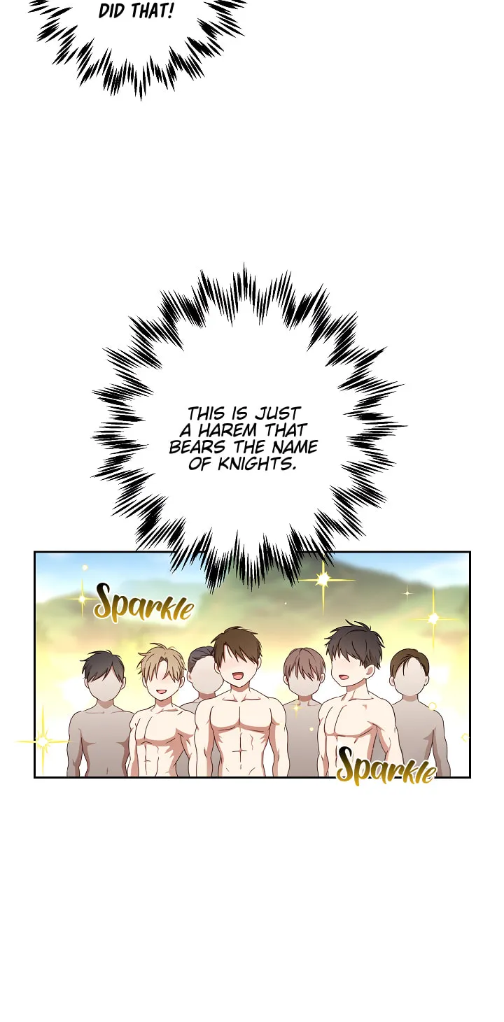 I Fell into a Reverse Harem Game! Chapter 15 page 46 - 