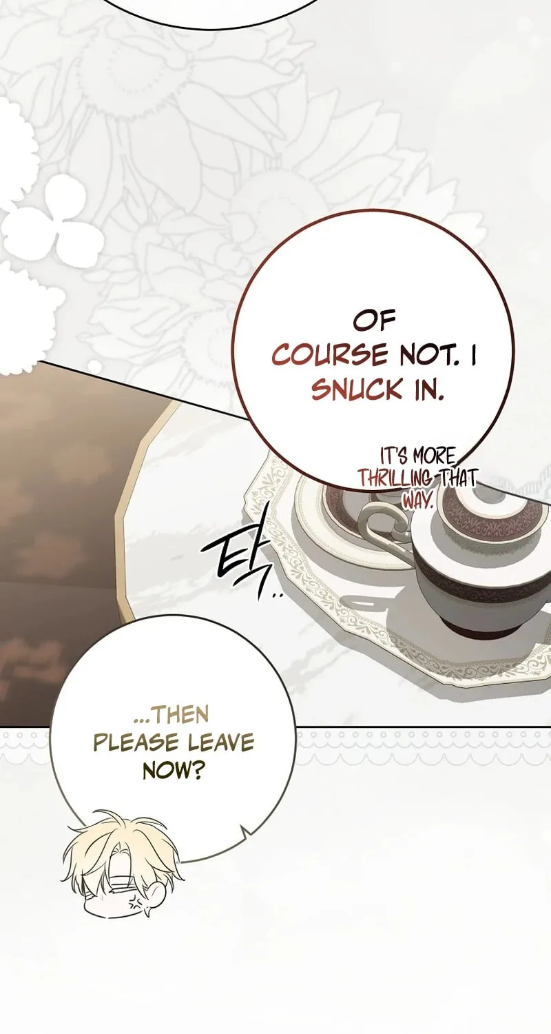 I Fell into a Reverse Harem Game! Chapter 161.5 page 42 - 