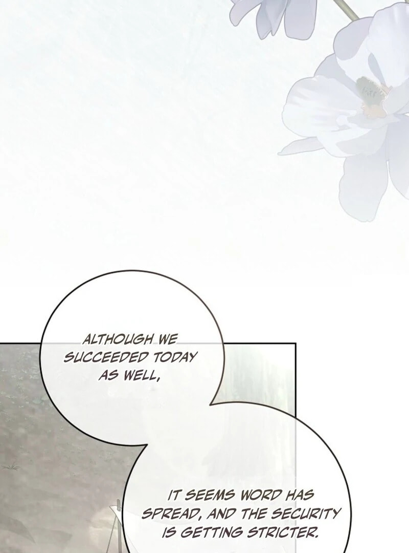 I Fell into a Reverse Harem Game! Chapter 162 page 104 - 