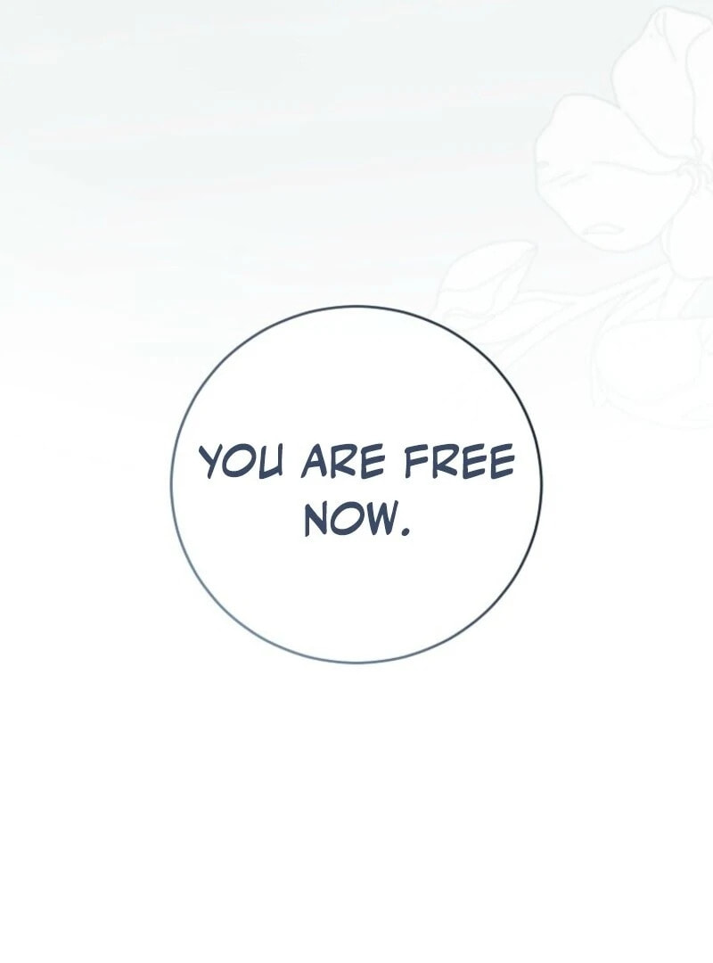 I Fell into a Reverse Harem Game! Chapter 162 page 119 - 