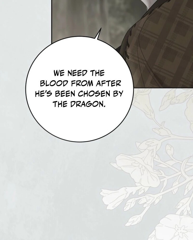 I Fell into a Reverse Harem Game! Chapter 162 page 55 - 