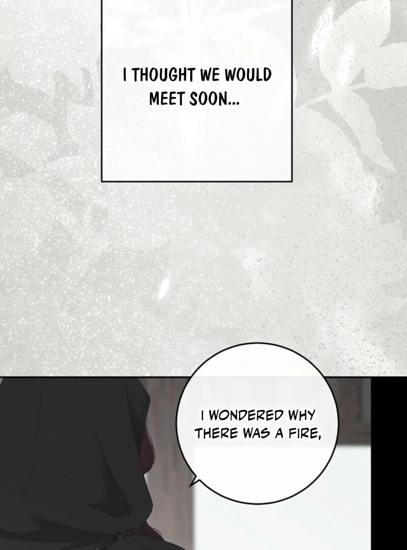 I Fell into a Reverse Harem Game! Chapter 164 page 114 - 