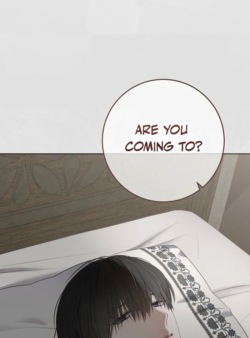 I Fell into a Reverse Harem Game! Chapter 165 page 113 - 