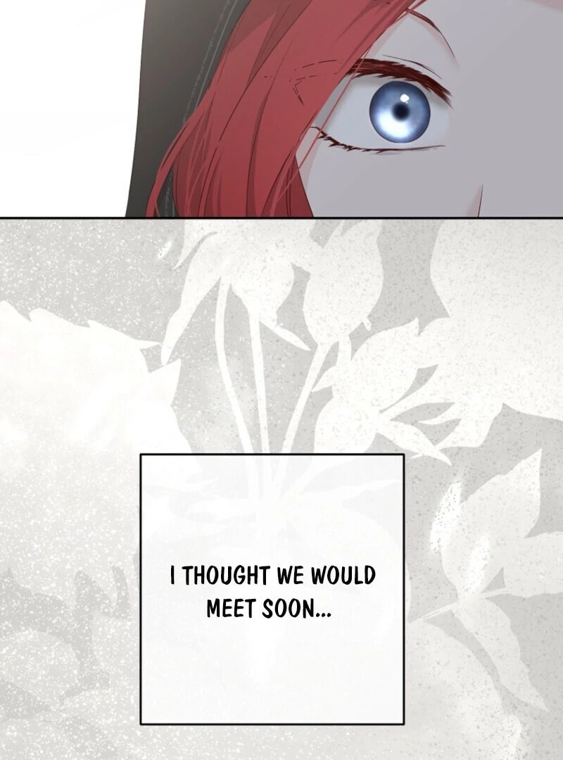 I Fell into a Reverse Harem Game! Chapter 165 page 3 - 