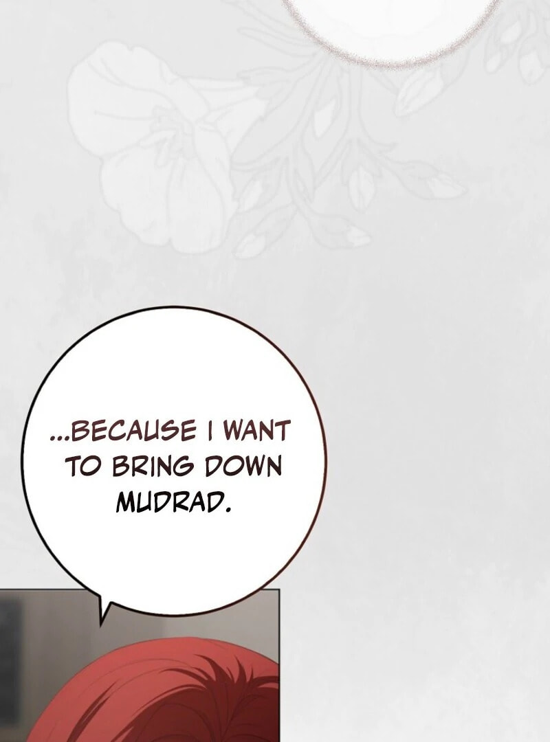 I Fell into a Reverse Harem Game! Chapter 165 page 96 - 