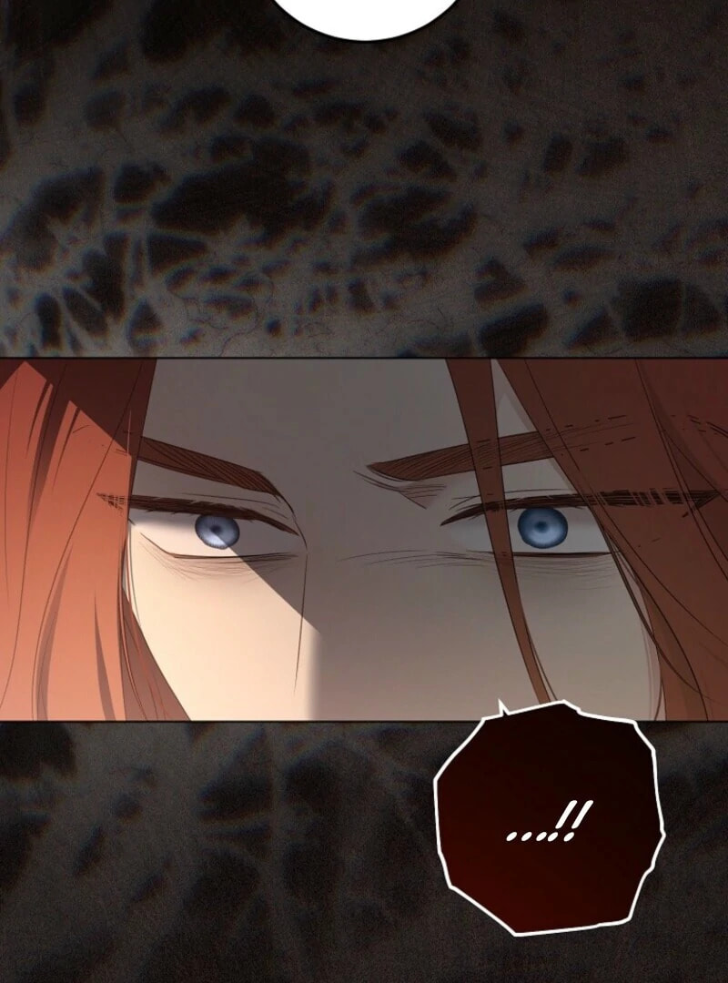 I Fell into a Reverse Harem Game! Chapter 166 page 101 - 