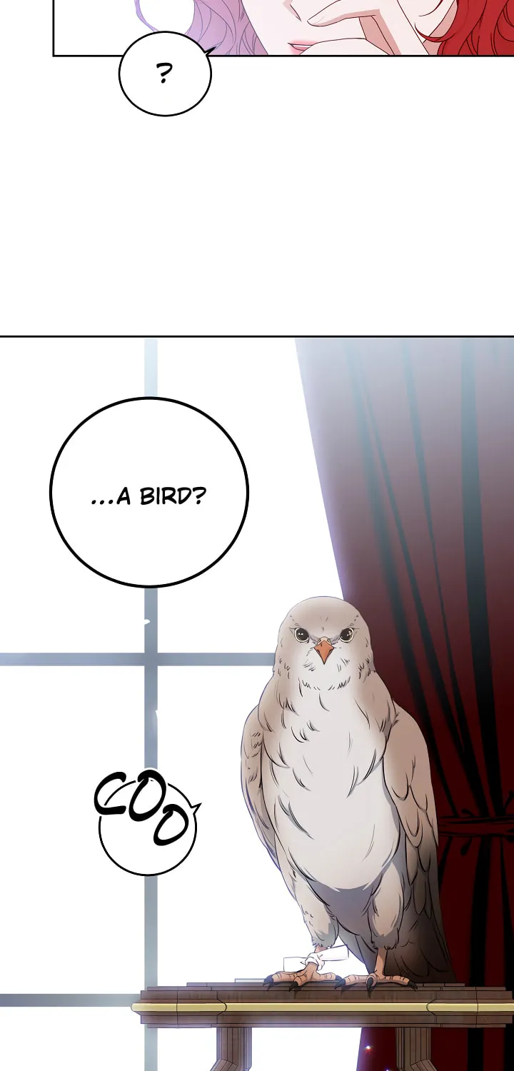 I Fell into a Reverse Harem Game! Chapter 21 page 12 - 
