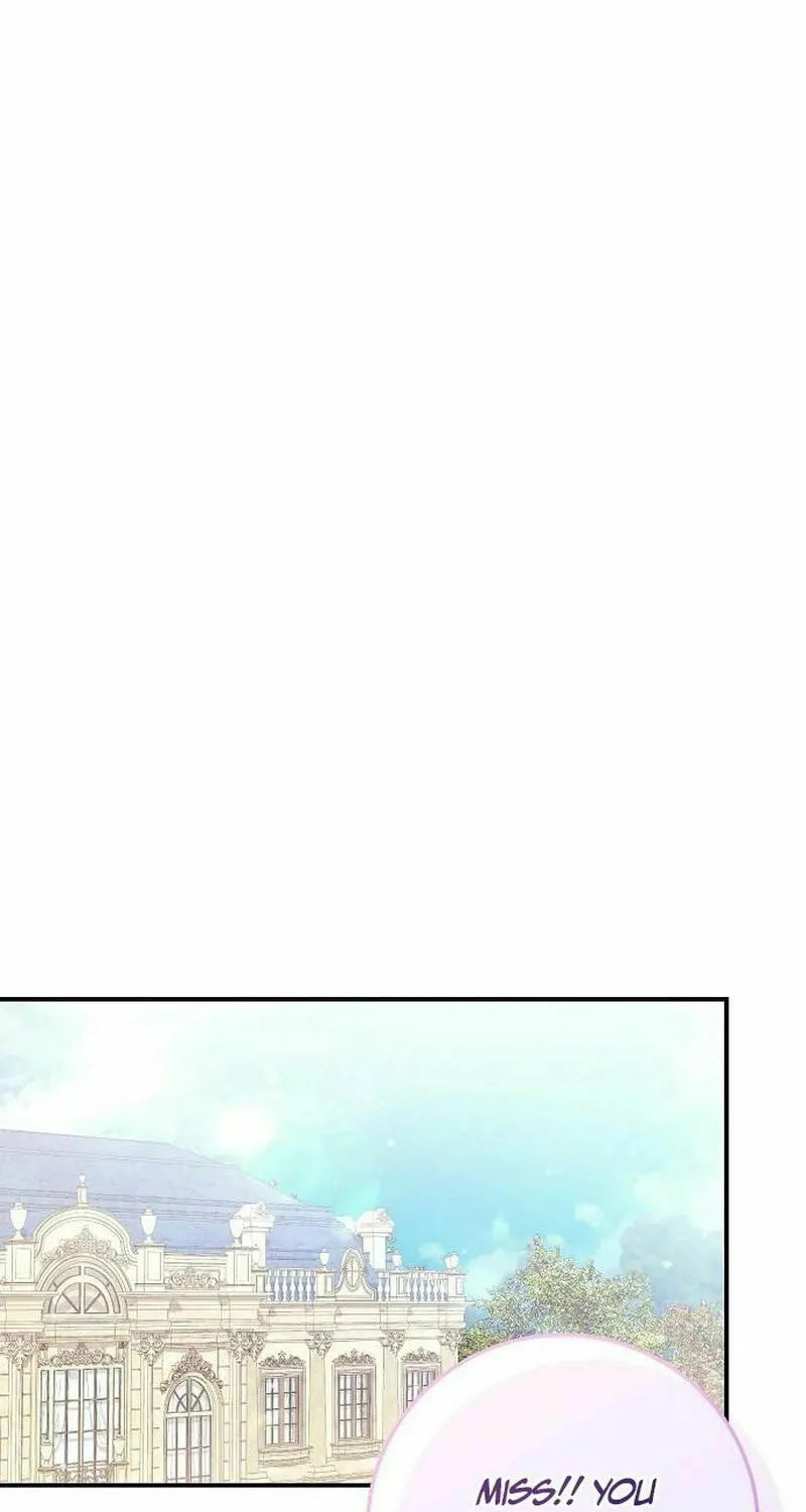 I Found A Family That Wasn’t In My Adoption Plan Chapter 27 page 2 - 