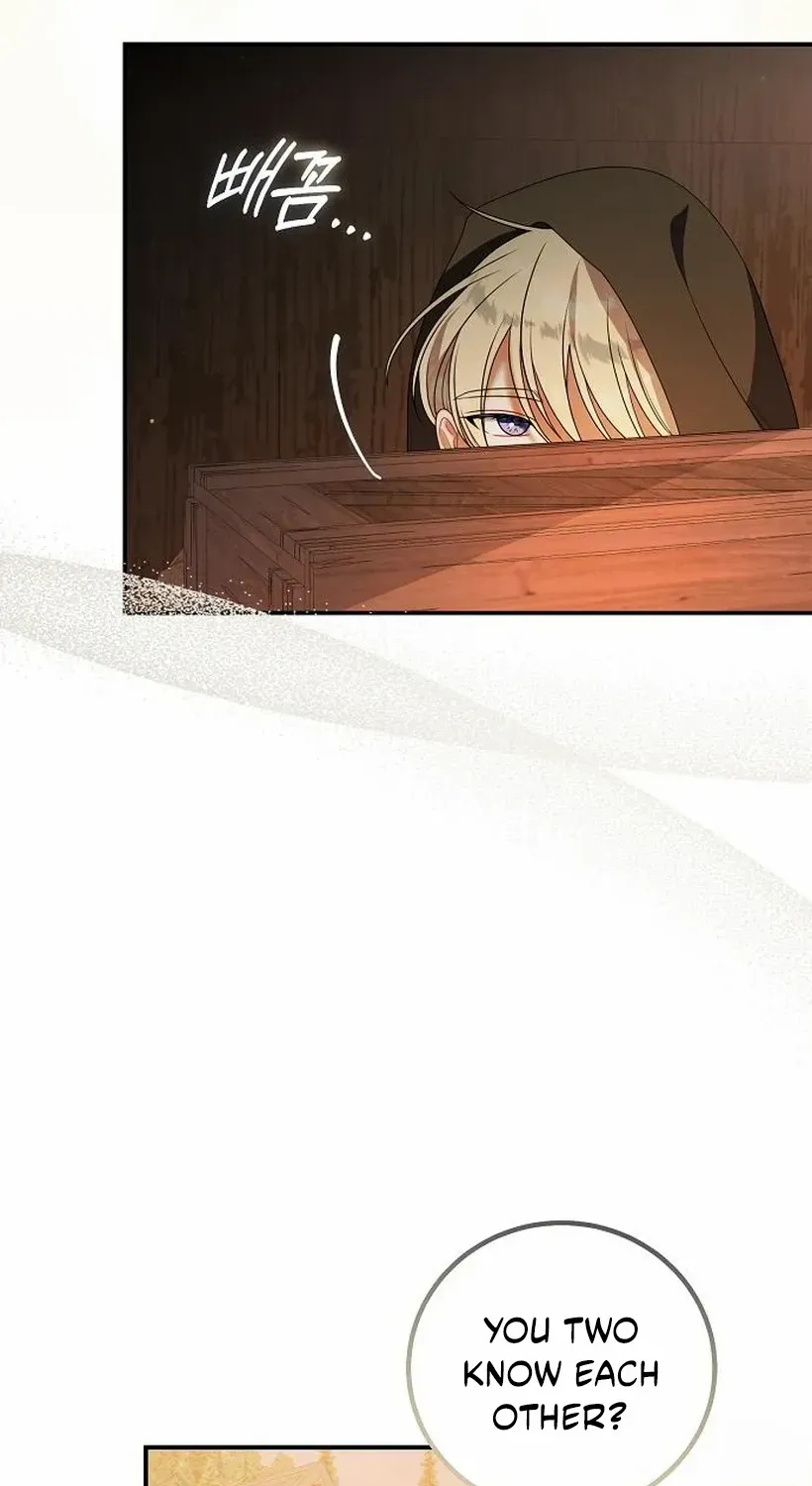 I Found A Family That Wasn’t In My Adoption Plan Chapter 47 page 68 - 