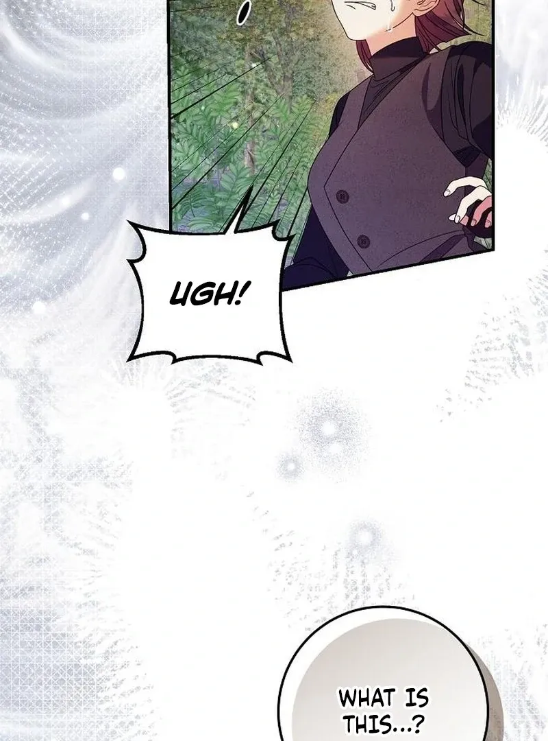 I Found A Family That Wasn’t In My Adoption Plan Chapter 48 page 74 - 