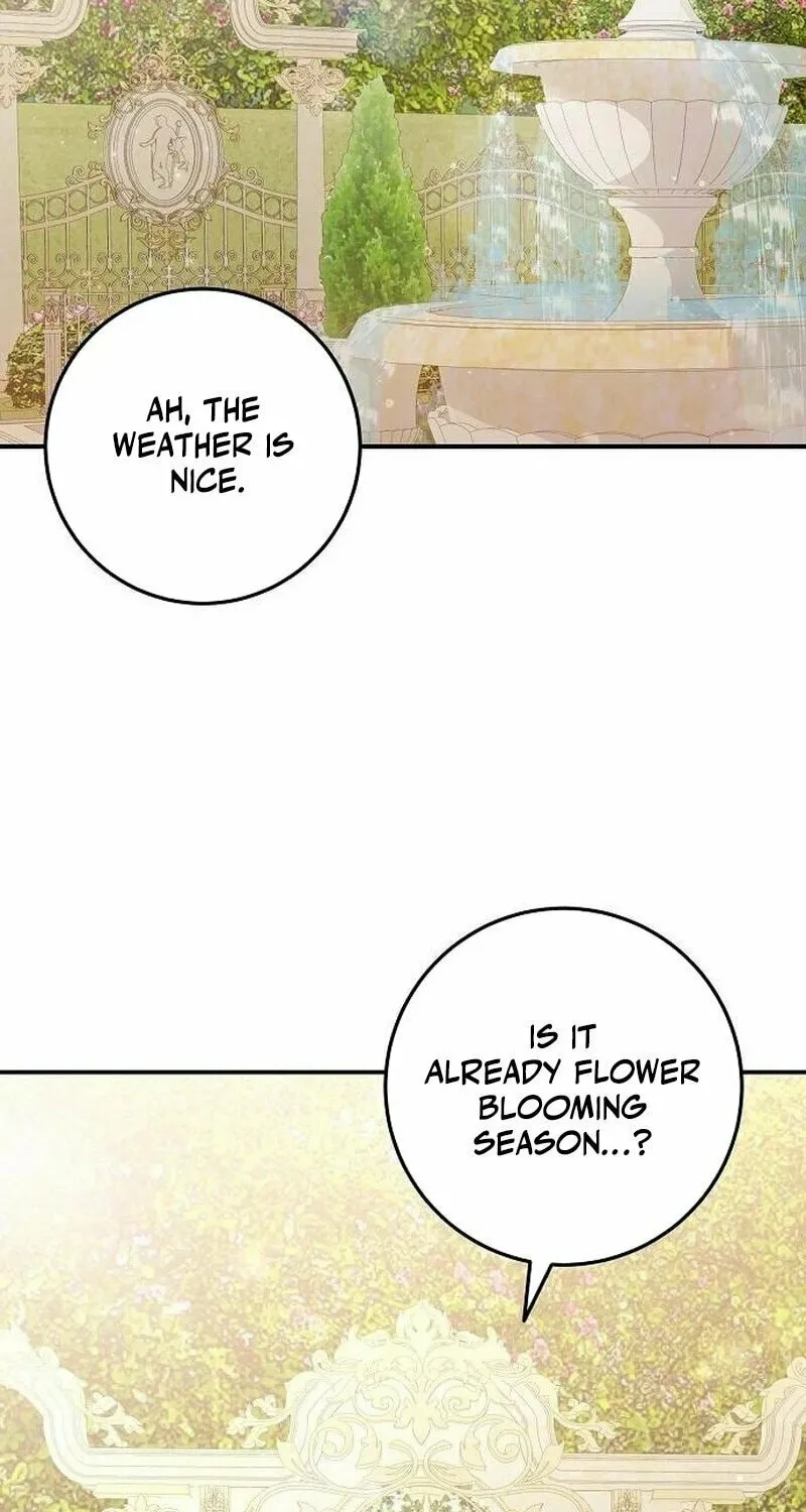 I Found A Family That Wasn’t In My Adoption Plan Chapter 9 page 16 - 