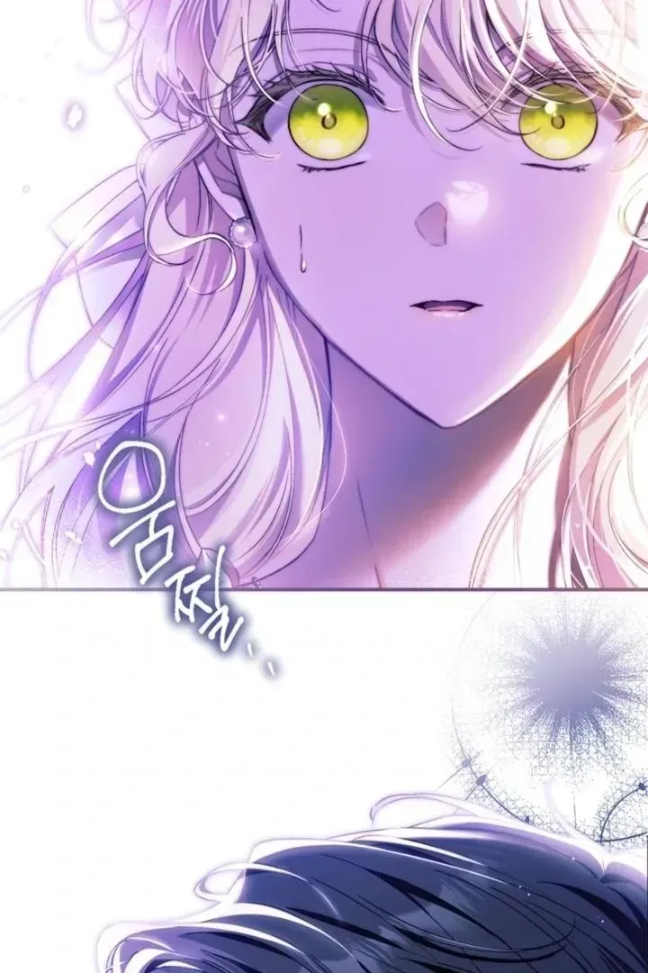 I Got Engaged To The Blind Duke Chapter 1.1 page 28 - 