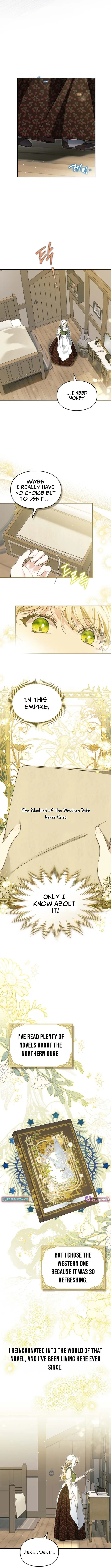 I Got Engaged To The Blind Duke Chapter 1 page 10 - 