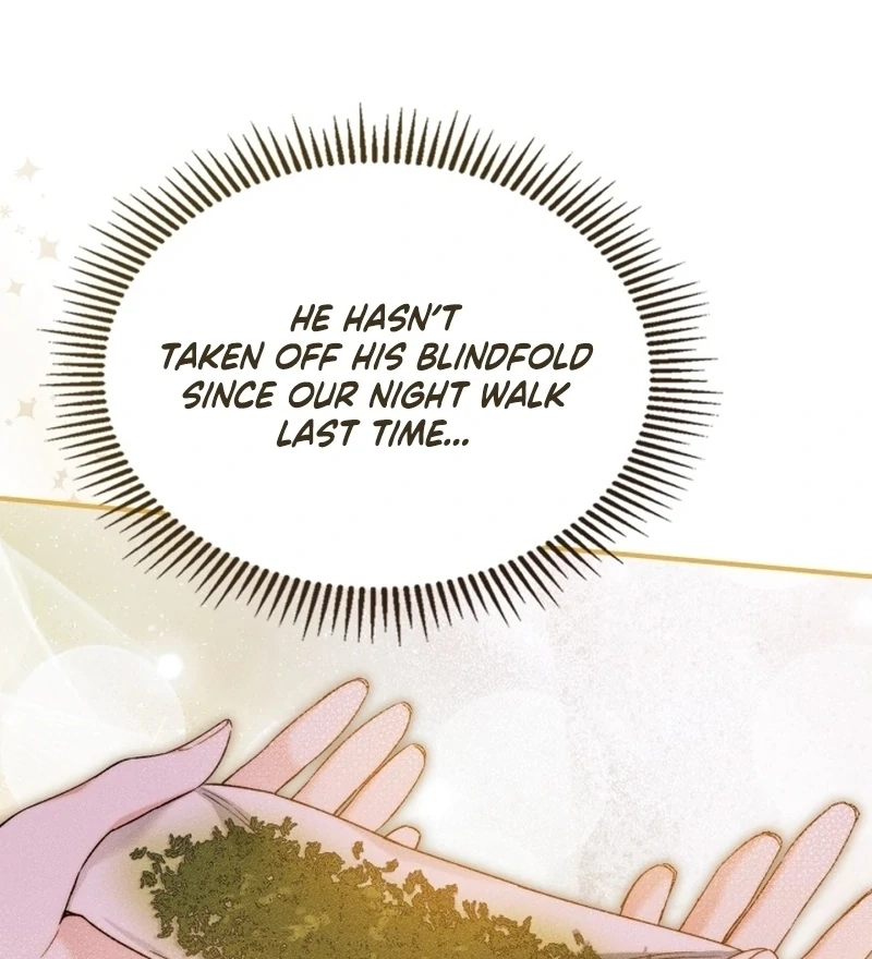 I Got Engaged To The Blind Duke Chapter 24 page 87 - 