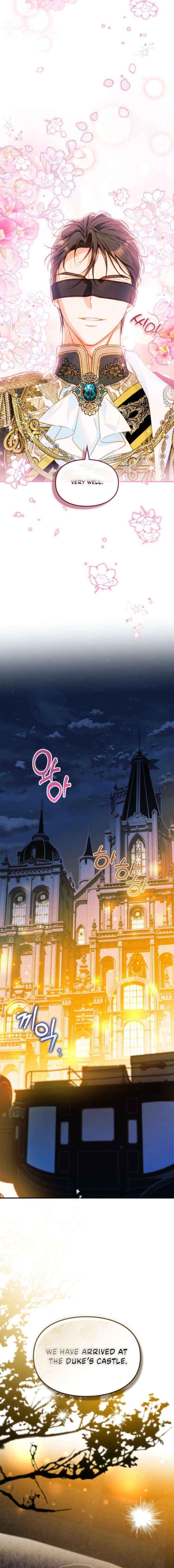 I Got Engaged To The Blind Duke Chapter 33 page 17 - 