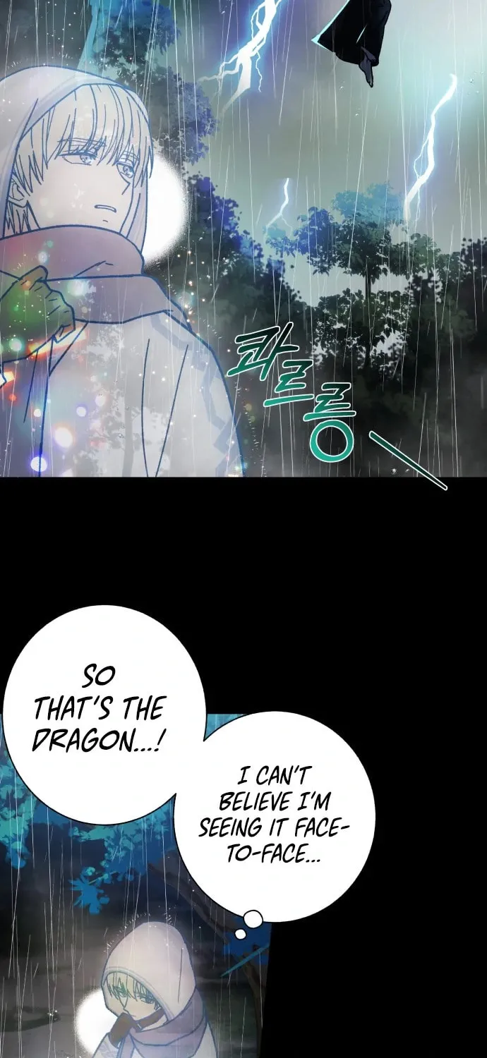 I Have a Dragon