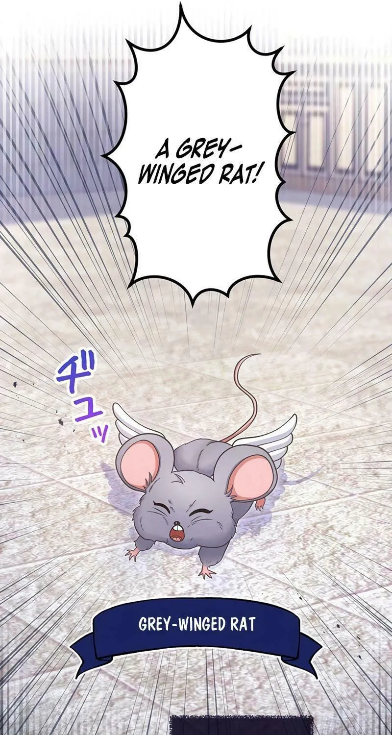 I Have No Intention of Returning to You! Chapter 16 page 80 - 