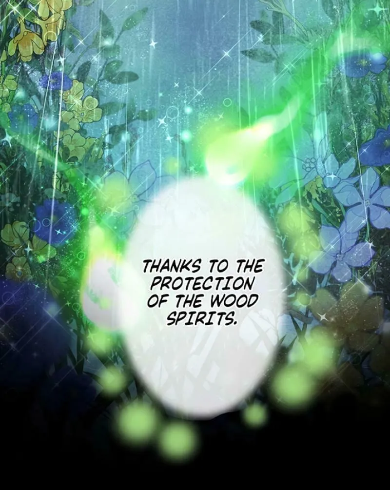 I Have No Intention of Returning to You! Chapter 33 page 48 - 