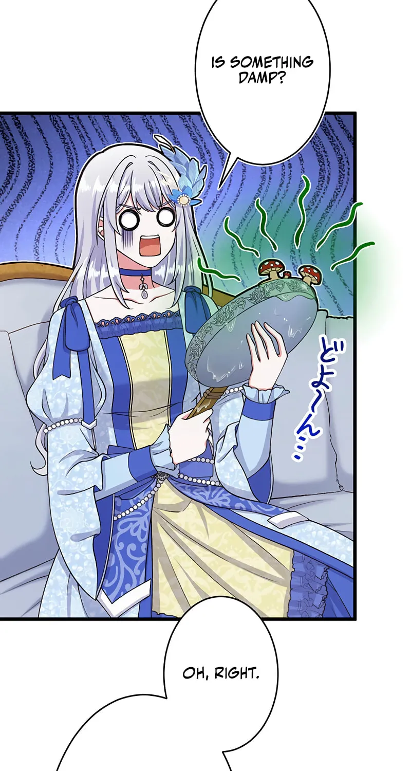 I Have No Intention of Returning to You! Chapter 42 page 55 - 
