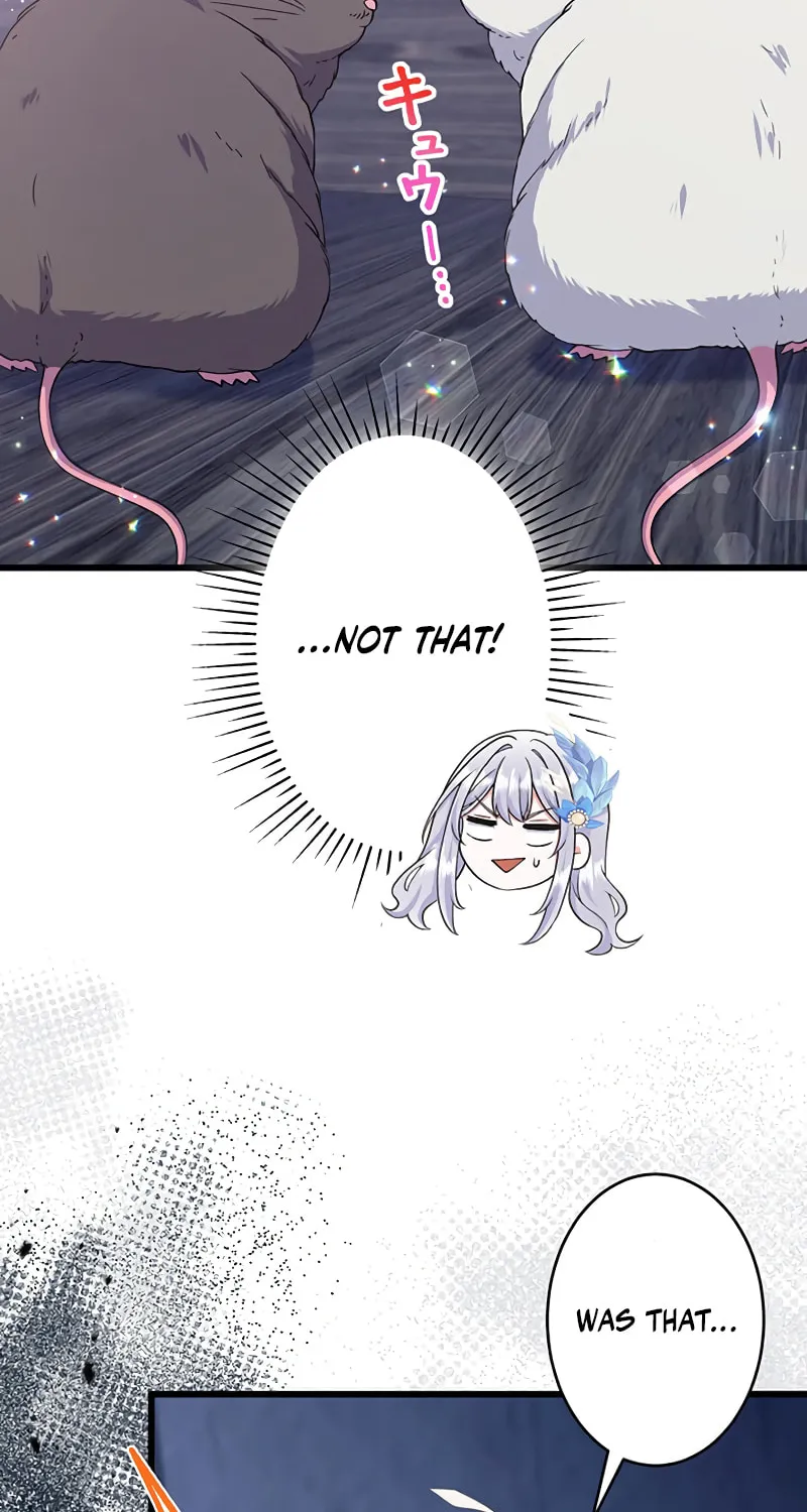 I Have No Intention of Returning to You! Chapter 43 page 45 - 
