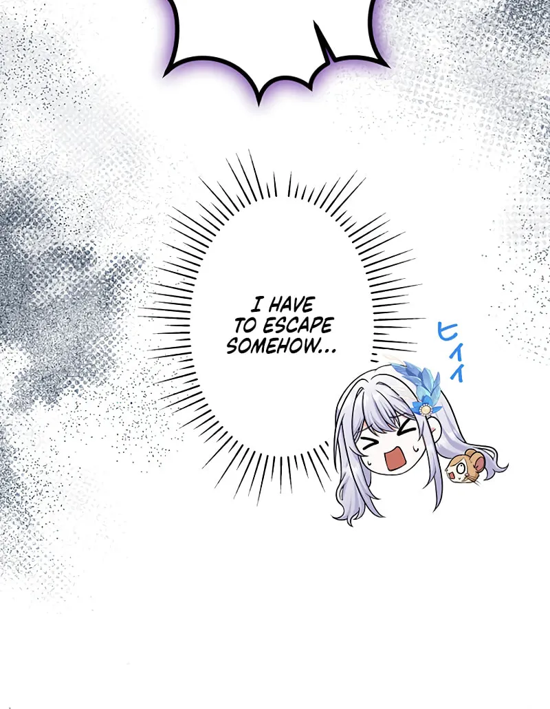 I Have No Intention of Returning to You! Chapter 43 page 78 - 