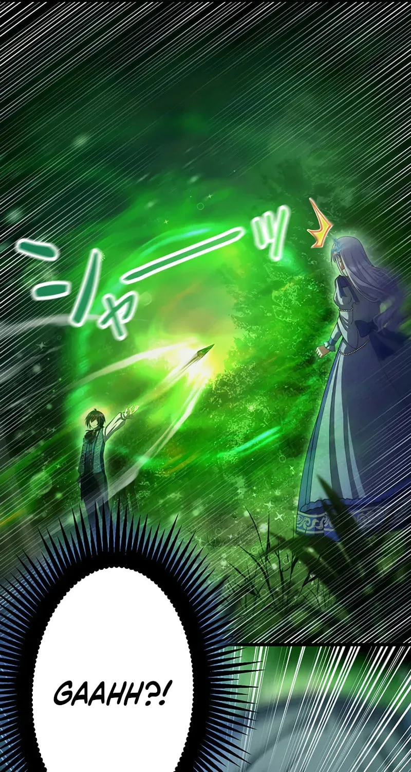 I Have No Intention of Returning to You! Chapter 44 page 70 - 