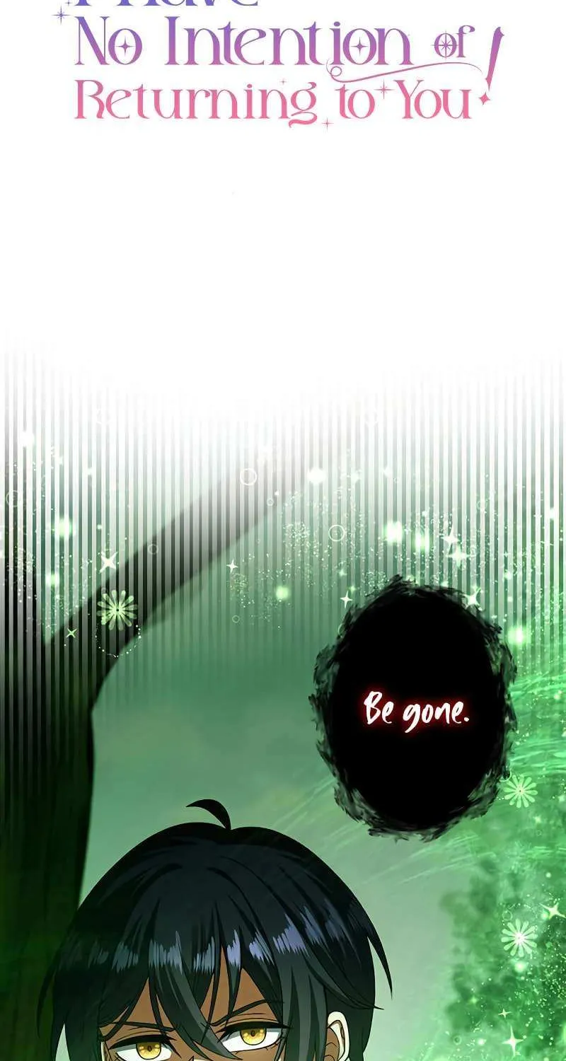 I Have No Intention of Returning to You! Chapter 45 page 3 - 